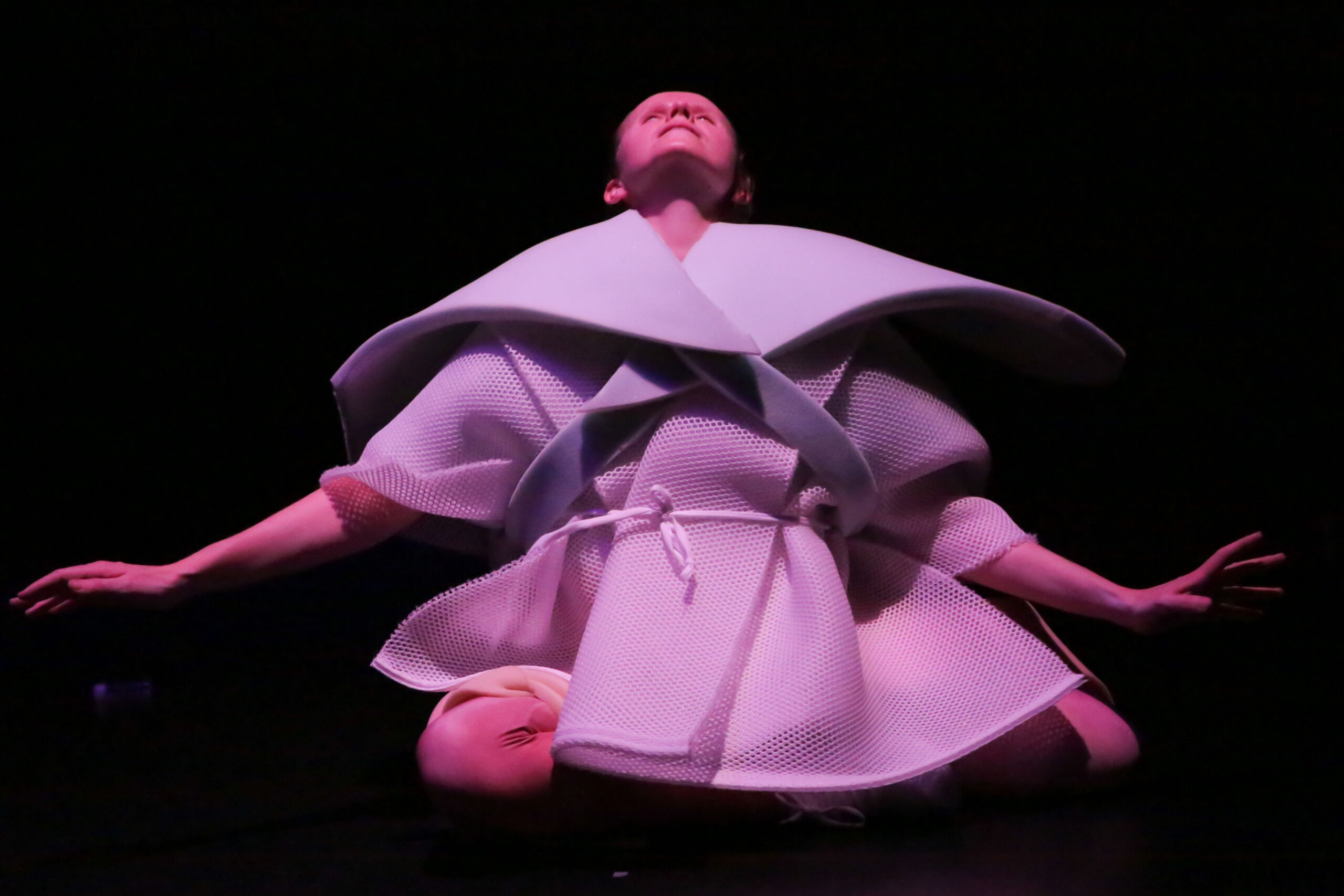 "Warrior" und "Dreamer" von Anne-Mareike Hess